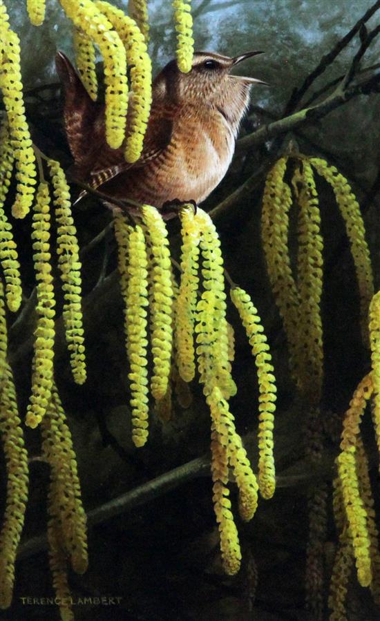 Terence Lambert (1951-) Wren upon catkins 7 x 4.5in.